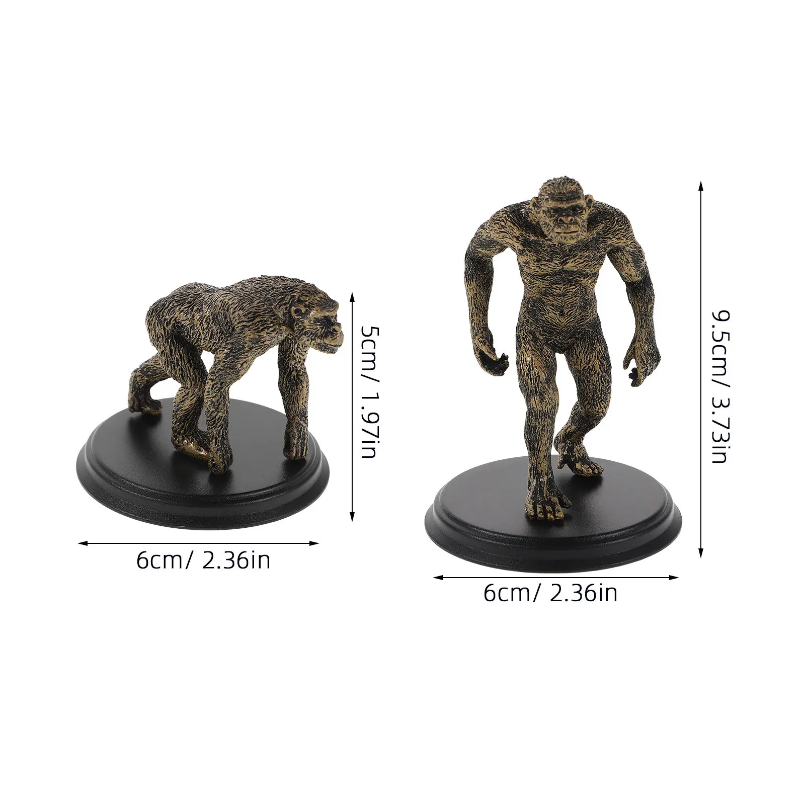Prehistoric Human Evolution Figures 4 Piece Realistic Plastic People Models for Classroom Teaching