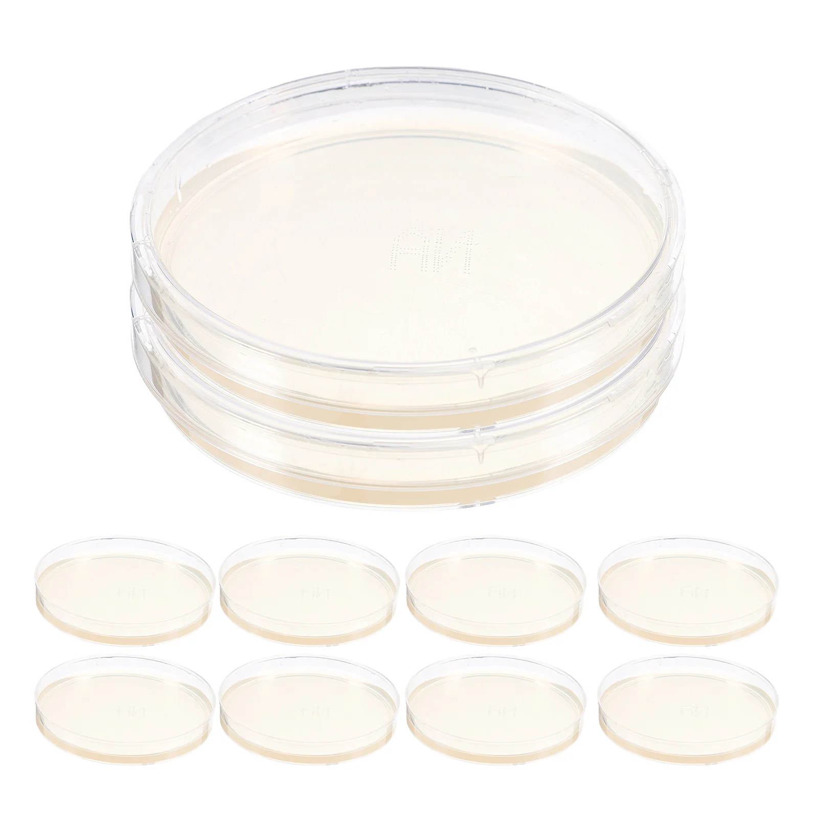 

10 Pcs Agar Plate Portable Plates Laboratory Experiment Supplies Test Box for Prepoured Petri Science