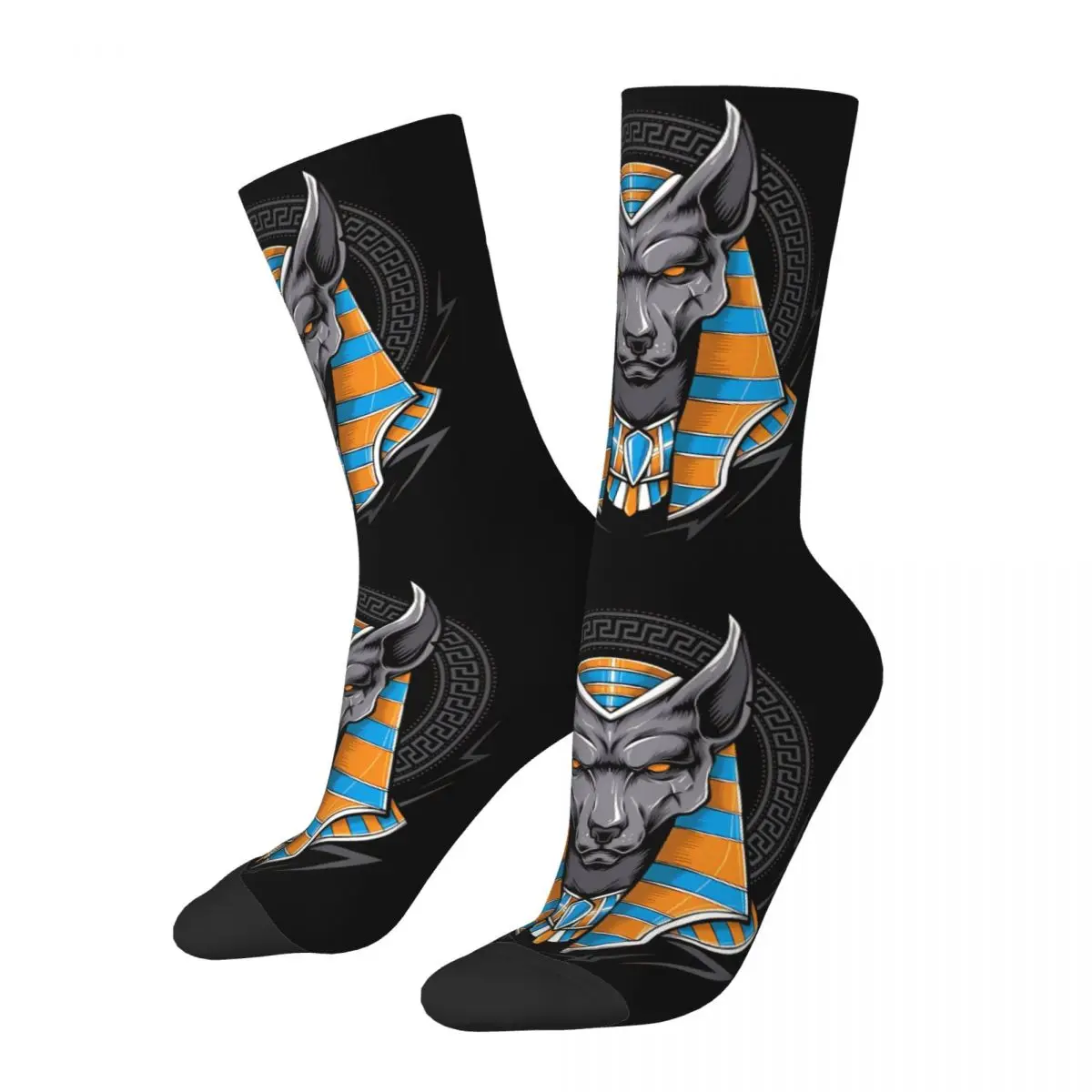 Egypt Pharaoh Men Women Socks Cycling Novelty Spring Summer Autumn Winter Stockings