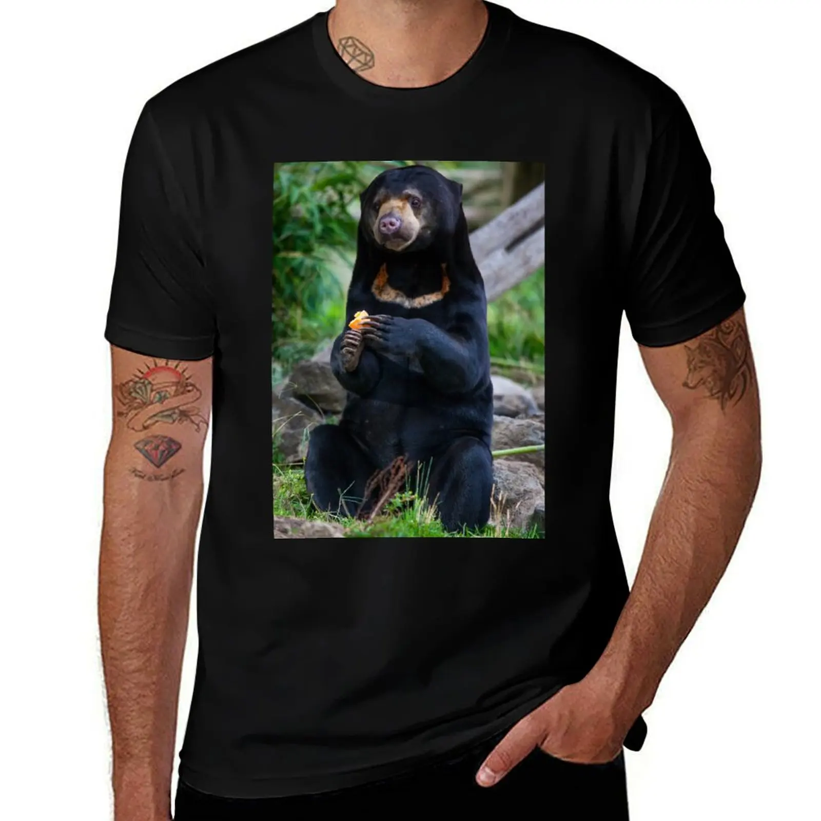T-shirt Malayan Sun Bear Contemplating, t-shirt simple à col rond de couleur unie