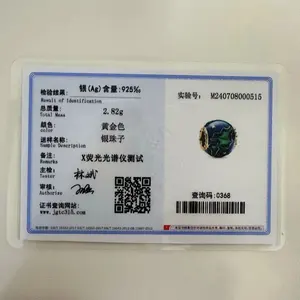 ゴールドシリーズ925スターリングシルバークリスタルボールラブハートエンベロープローズペンダントフィットDIYブレスレットネックレス女性ジュエリーギフト 6ベストセールスシルバーハートチャーム-4