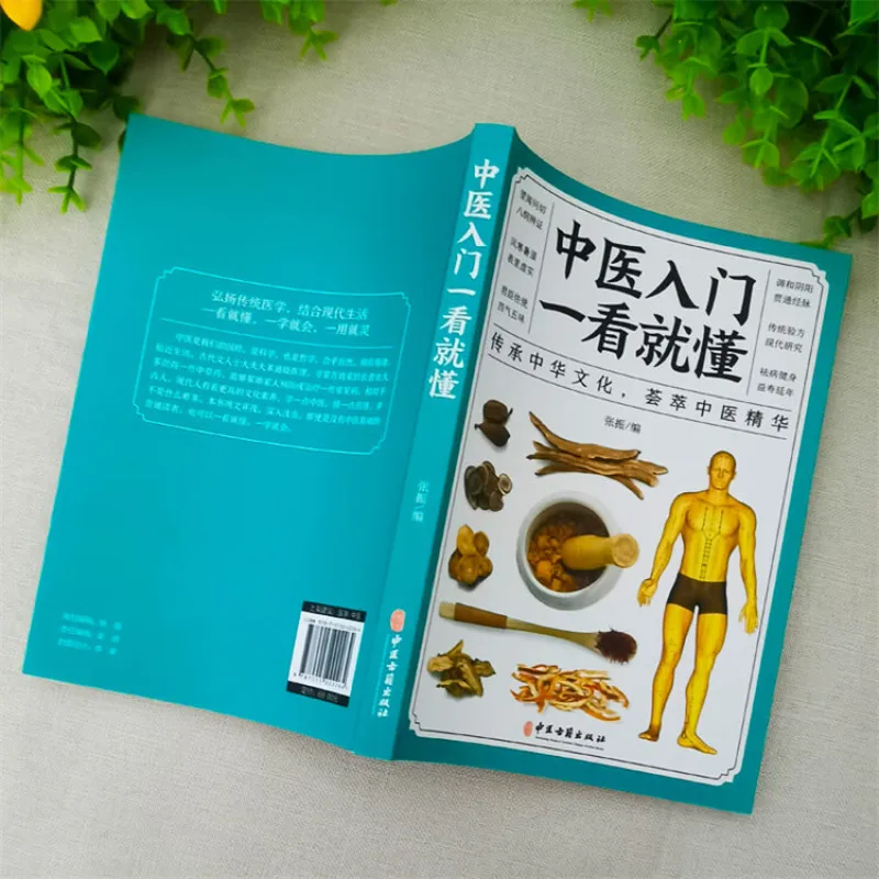 An introduction to traditional Chinese medicine can be understood at a glance