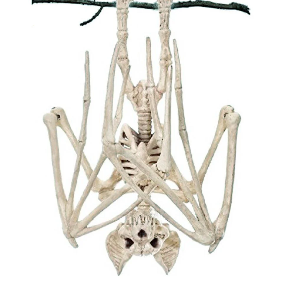 Halloween Horror Fledermäuse Skelett Maus Skorpion Eidechse Bonez Skelett Modell Festival Dekor Party Gruselige Halloween Party Dekoration – Detail 3