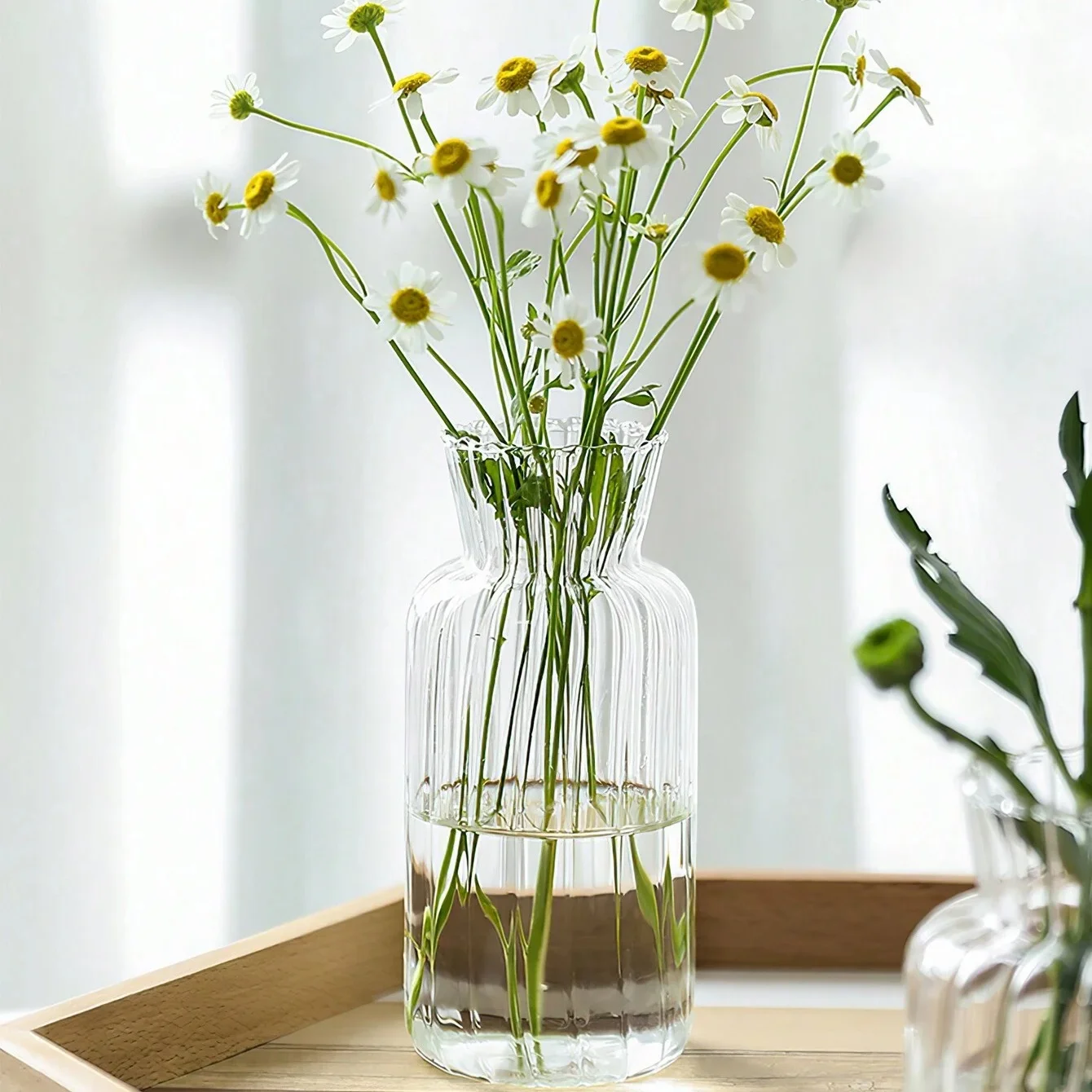 Nordic Transparent Glass Vase – Hydroponic Terrarium Flower Bottle (1/2/3pcs) 4