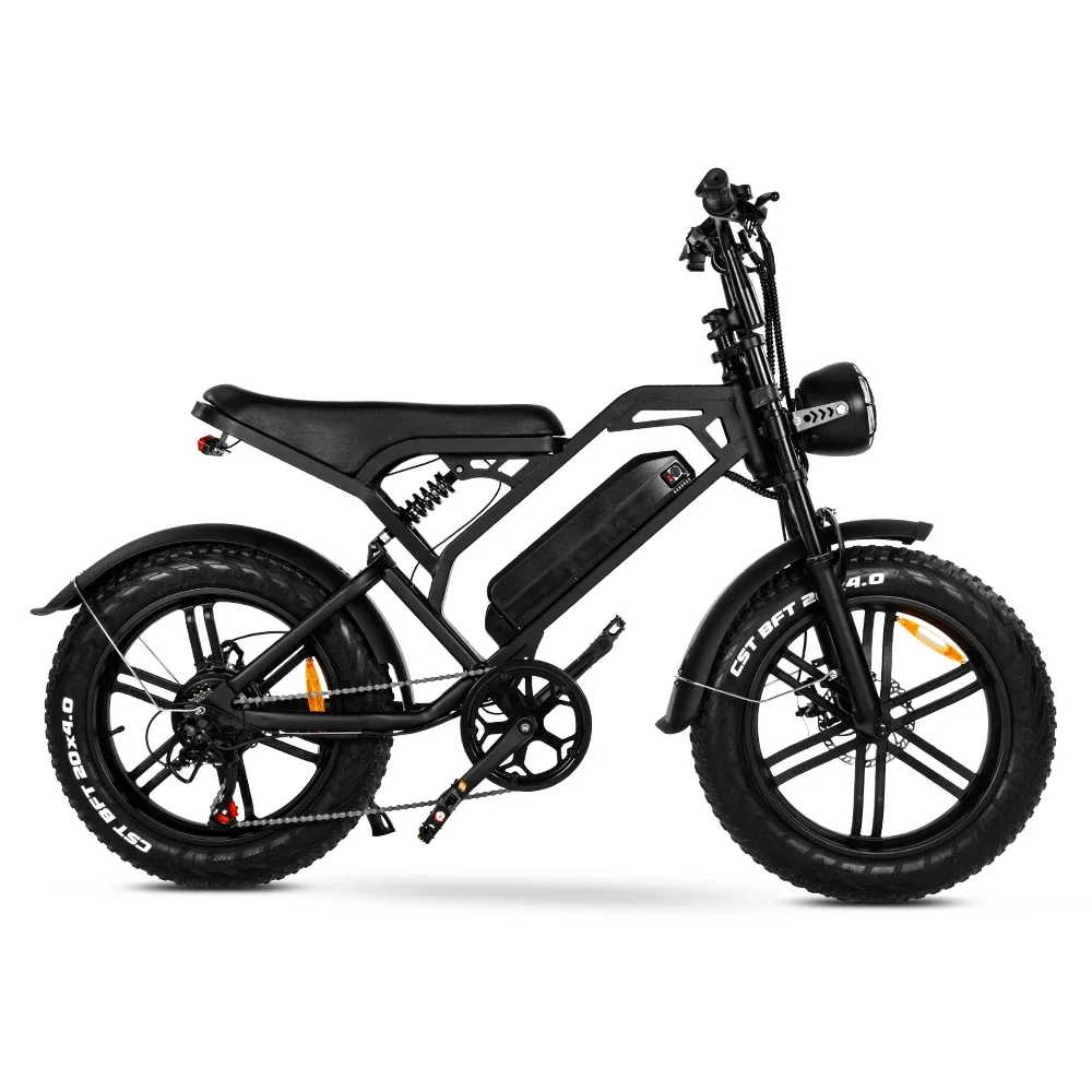 V20 E-bike Fat Tire Super Ebike Mountain Off-road Bike Sport Fatbike V20 Electric E Bike City Electric Bicycle 1000W/250W E-bike