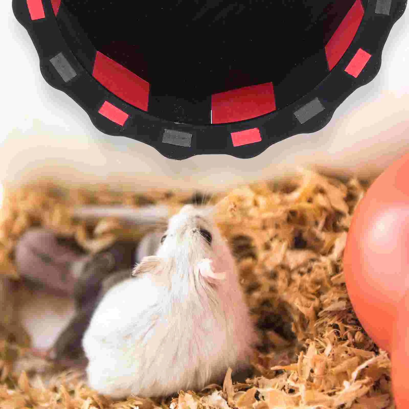 Hamster Running Wheel Toy Exercise Squirrels Hedgehog Chinchilla Ecological Board Jogging Spinner Small Animal Fitness Toys