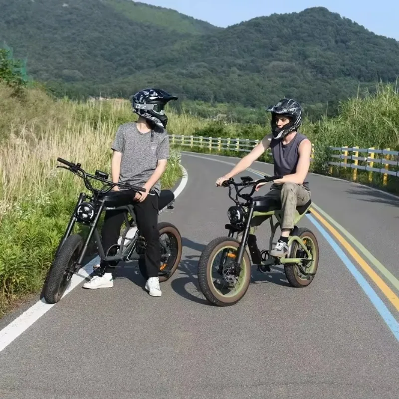 

SXLL Suitable for UL Certified Cougar Electric Bike High Quality 60V 750W Electric Fat Bike Lithium Battery Cheap 20 Inch Motorc