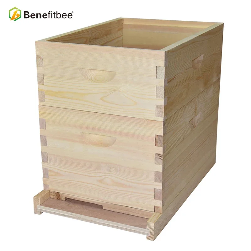 Beekeeping bee hives complete apiculture products langstroth 2 layers  beehive