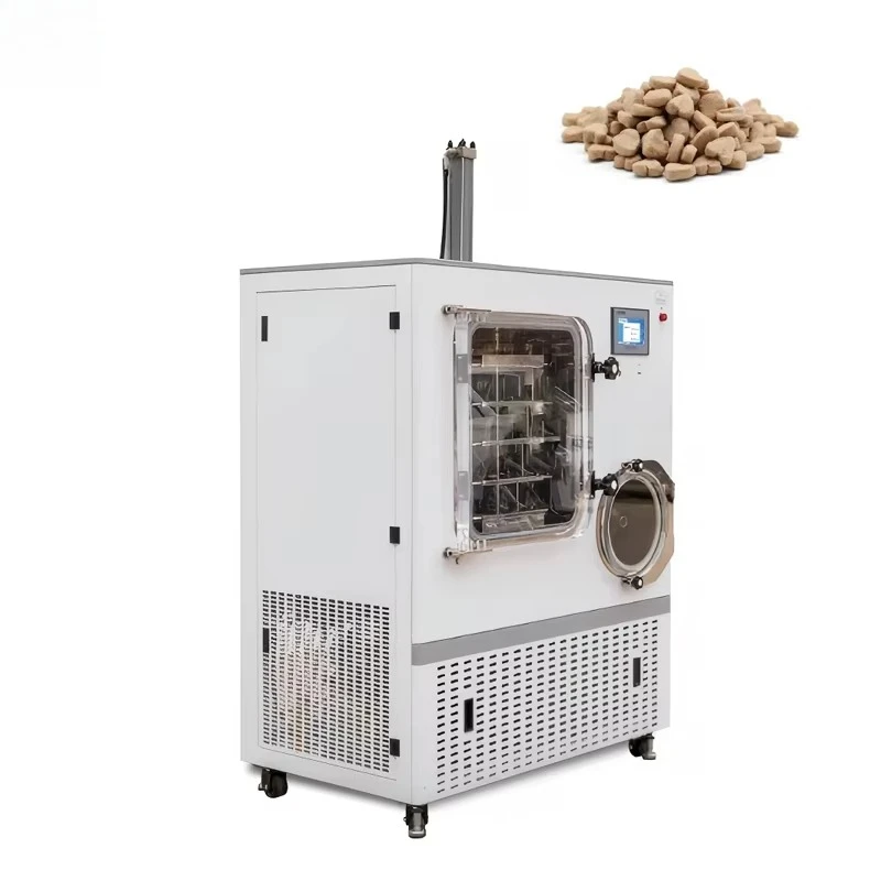 FOODLINE Freeze Dryer Low Noise Industrial Lyophilizer Machine For Food Workshop Fruit Vegetable Dehydration Processing