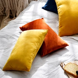 30x50cm Soft Velvet Cushion Cover Zipper Pillowcase Sofa Living Room Comfortable Funda Cojin Simple Pillow Cover Nordic Style
