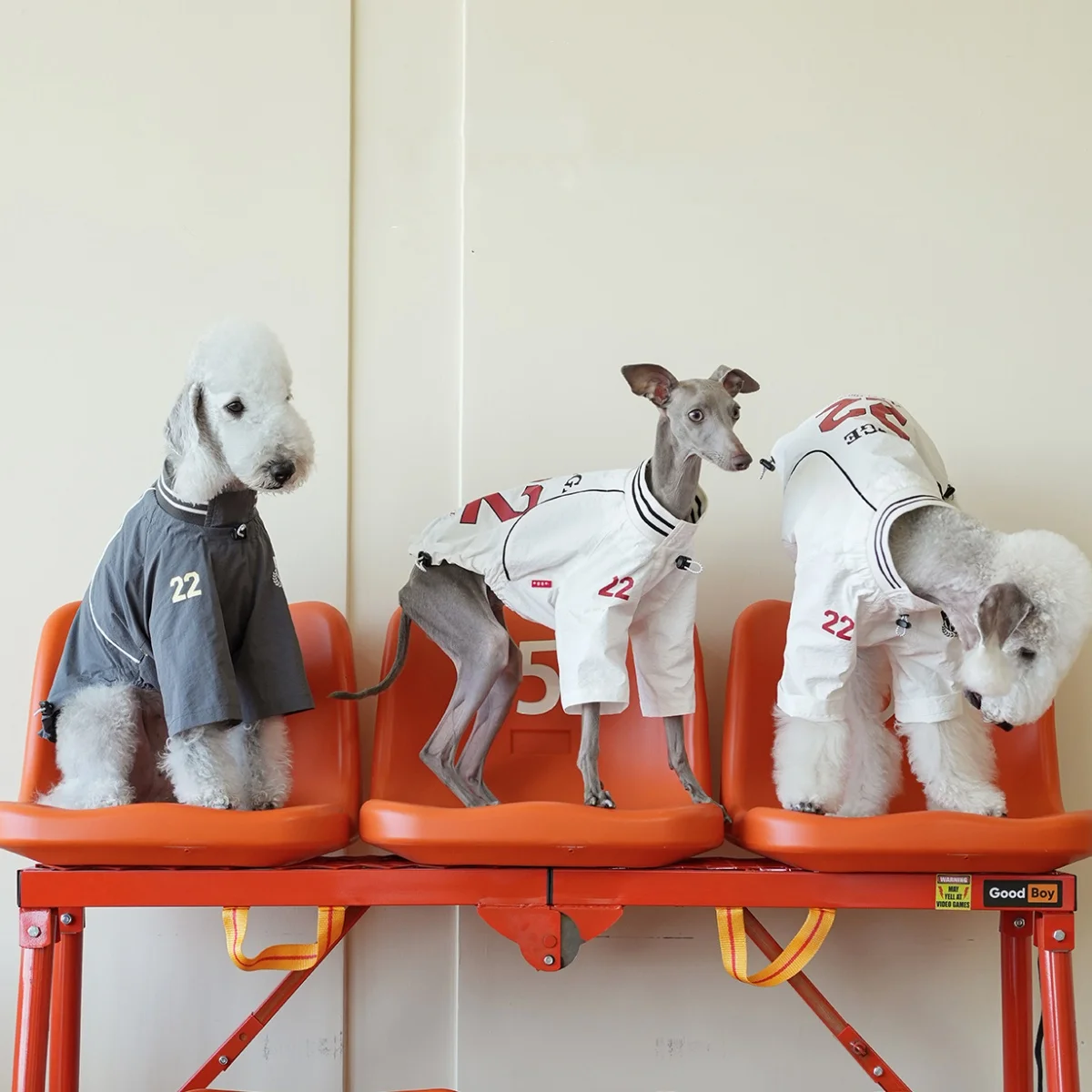 

White Vintage Sports Jersey for Bedlington Dog Spring Summer Light Breathable Two-Legged Long Sleeves Dark Grey Suit for Whippet