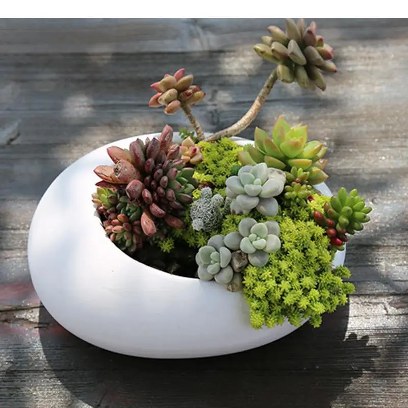 

Oval Ceramic Succulent Pot Garden Supplies Balcony Flowerpot Plant Pots Planters Landscaping Potted Flower