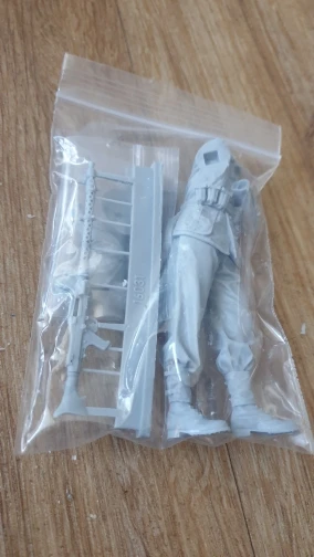 Buyer photo of this resin kit