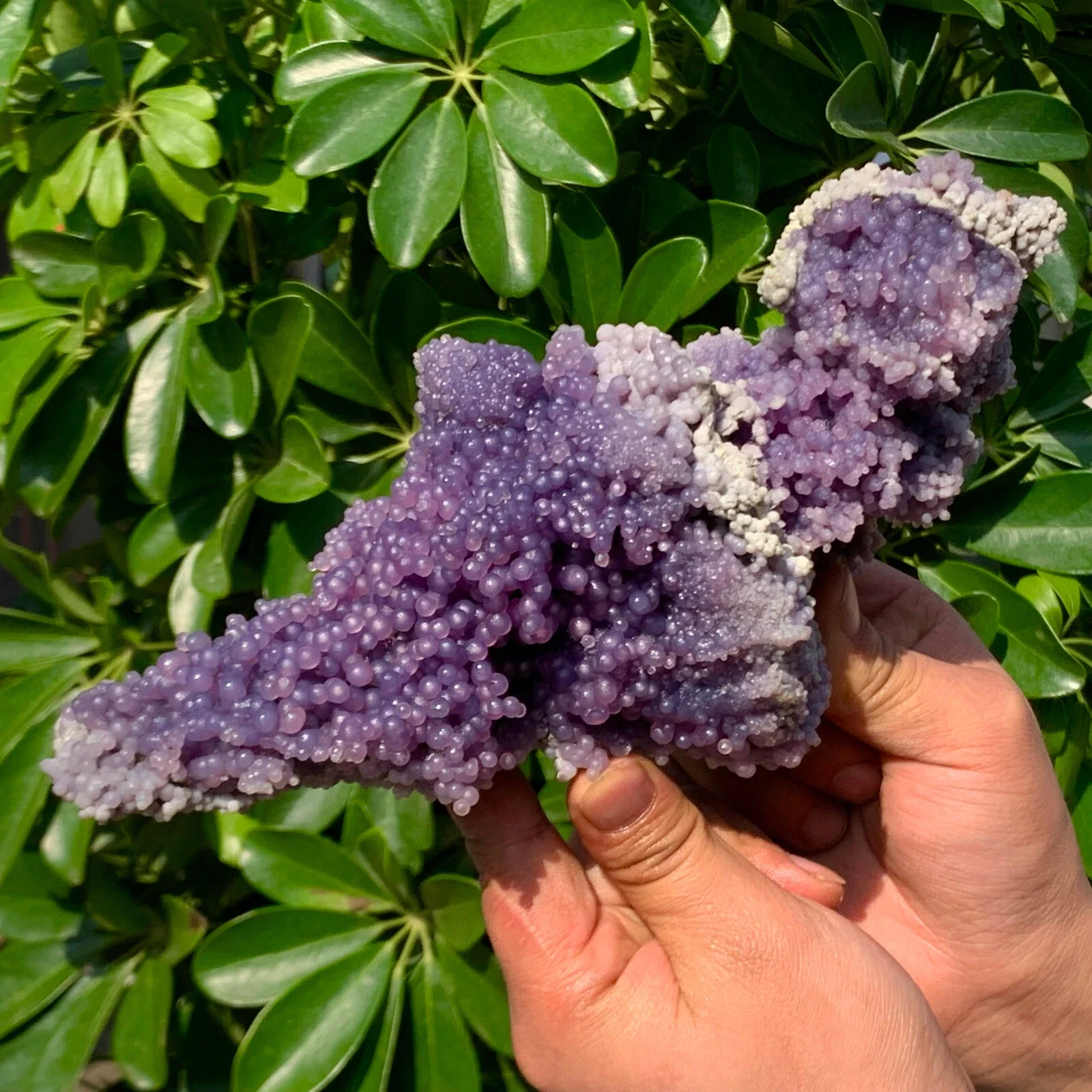 Natural Grape Agate Clusters, Crystal Quartz Purple Grape Agate Rough Stones, Mineral Healing Demagnetization