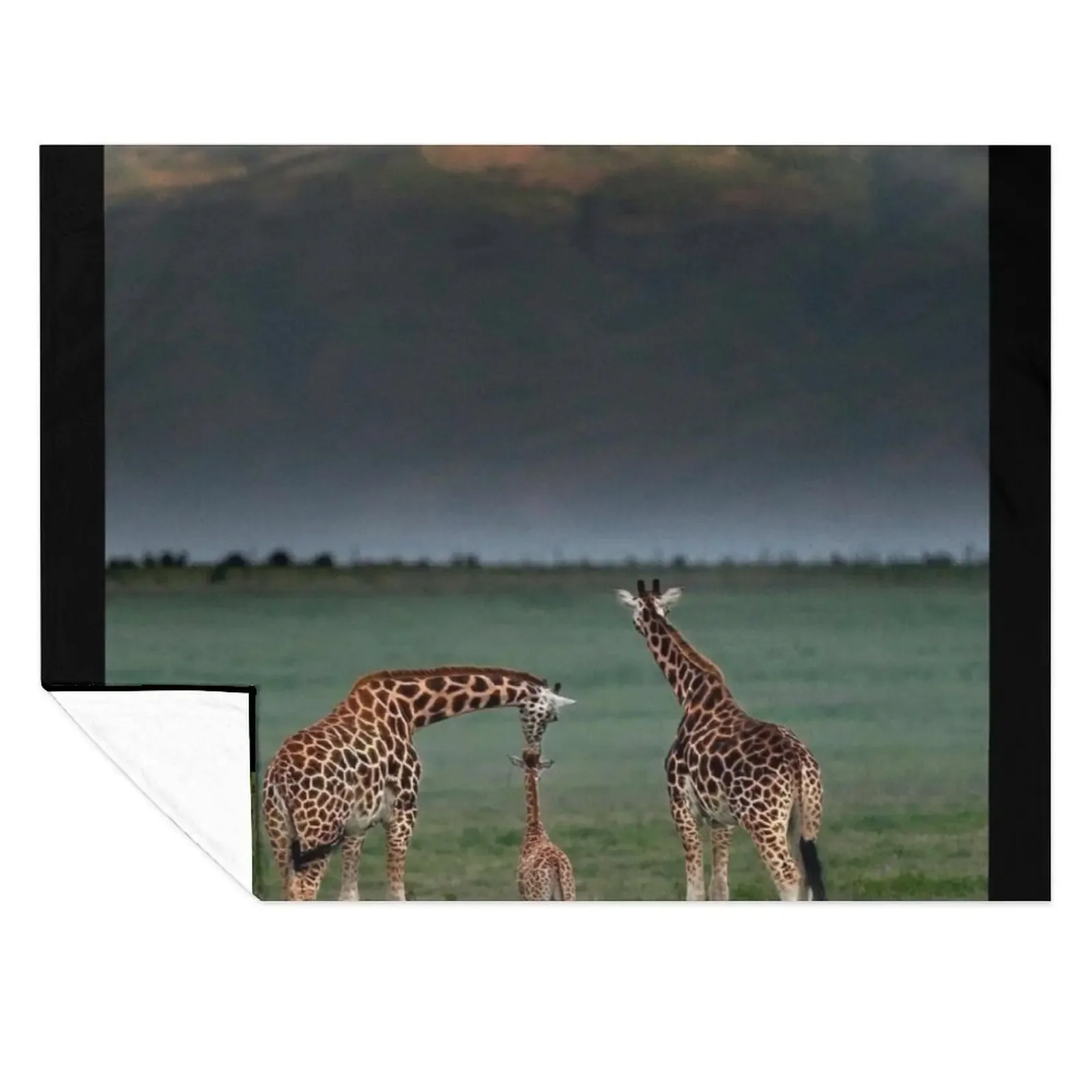 

Giraffe Family Pilansberg National Park Throw Blanket Flannel Loose Decorative Sofa Furrys Blankets