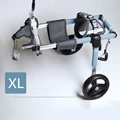 XL
