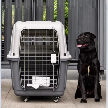 Airline Approved Rolling Pet Carrier 1