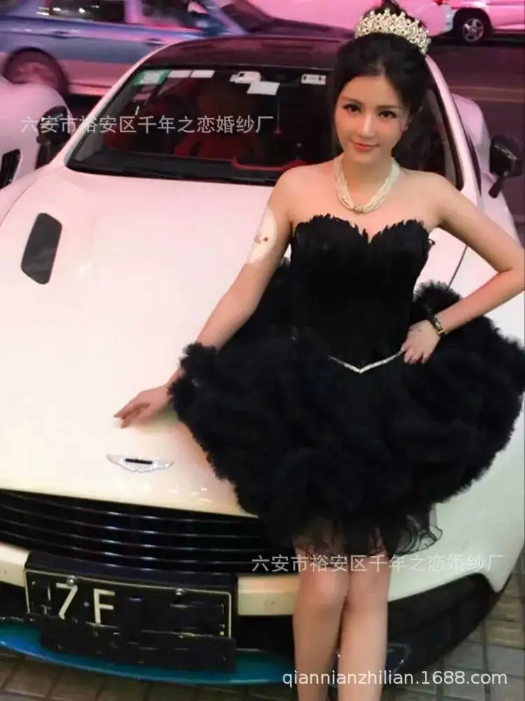 Cos Princess Dress Travel Photography Annual Party Girl Feather Evening Dress Host Fashion Show Princess Puffy - view 6