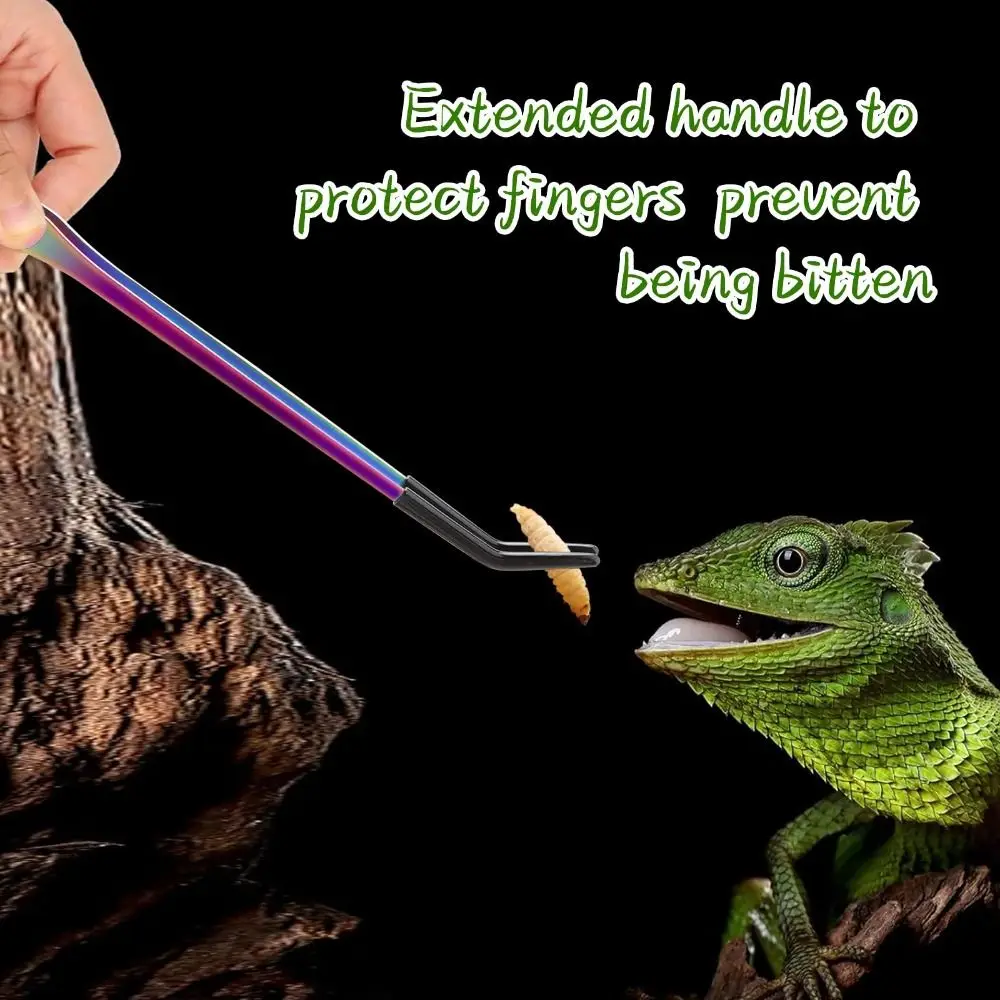 Thumbnail 2 - #71 Trending Reptile Water Bowls Right Now