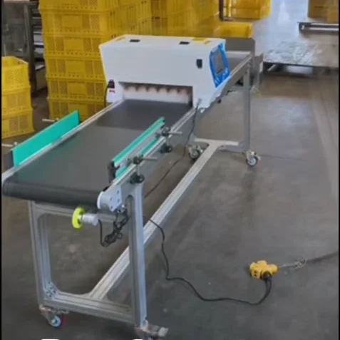 High-Speed Head Egg Inkjet  Machine for Date Logo Pattern Batch Number Printing on Chicken Eggs