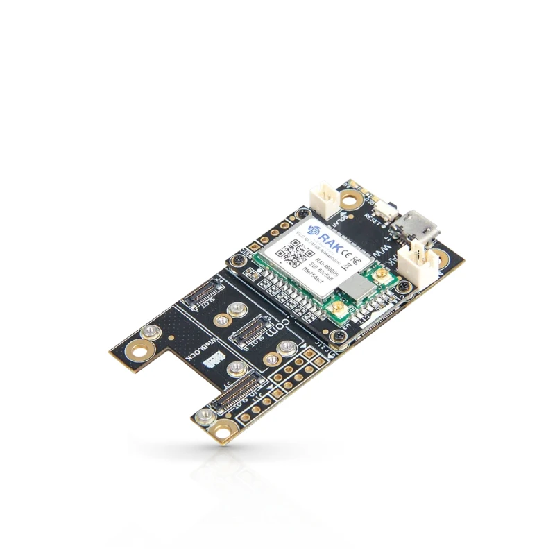 RAK4600 Evaluation …