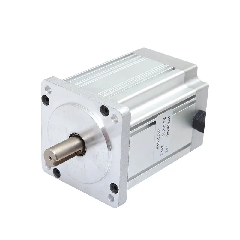 

400W 600W Cnc Kit BLDC Motor High Torque 3.81nm Brushless DC Motors for Electric Tricycle