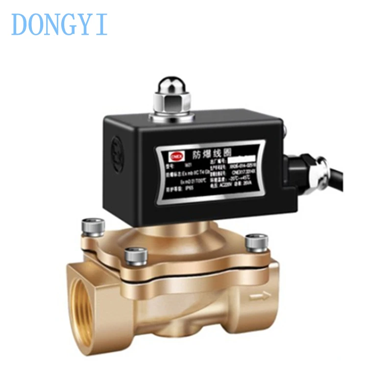 Explosion-proof Solenoid Valve Normally Closed Gas Valve Natural Gas Valve DN10 DN15 DN20 DN25 DN32 DN40 DN50 AC220V DC24V