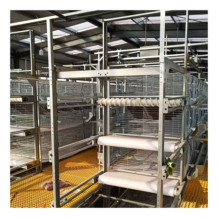 Factory Manufactured Pigeon Breeding Cage With Feeder And Drinker