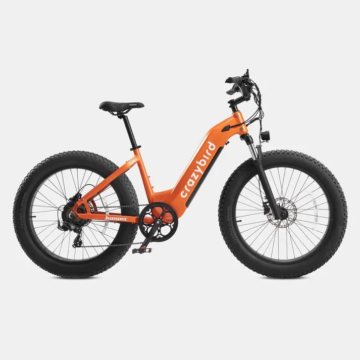 

Cyrusher Jumper Fat Tire E-bike 250W 750W High-Step Step-Thru Ebike for Man and Woman