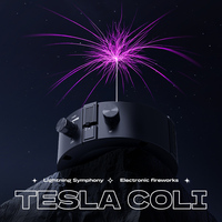 Tesla Coil Music Box with Bluetooth | Arc Lightning Wireless Demo Kit/Plasma Speaker Science Toy EU/US Plug