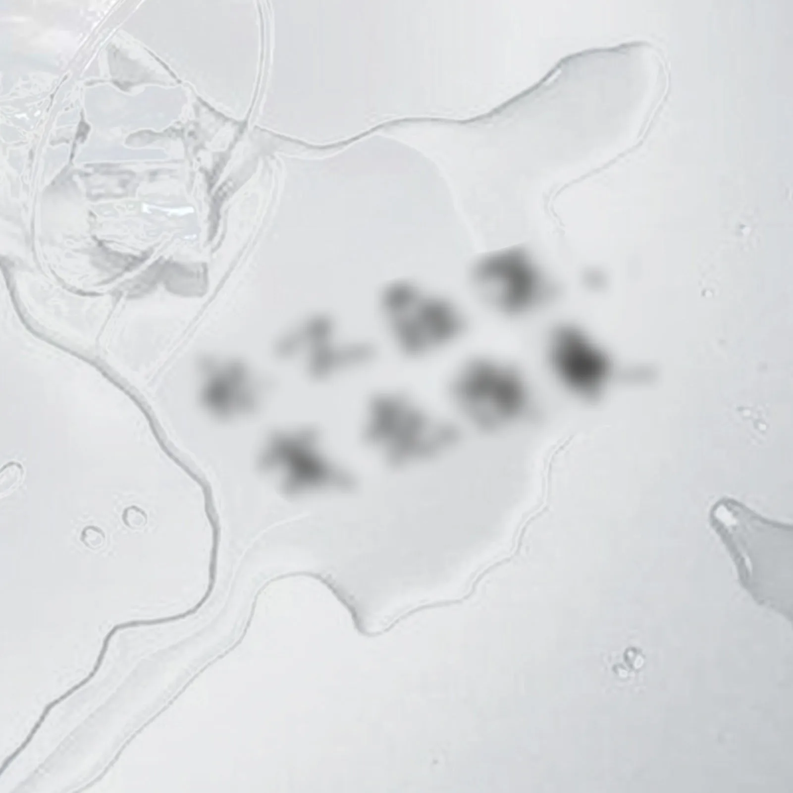 25ML Thermal Erasable Ink Multipurpose Erasable Magic Ink Practical Gifts For Children Friends