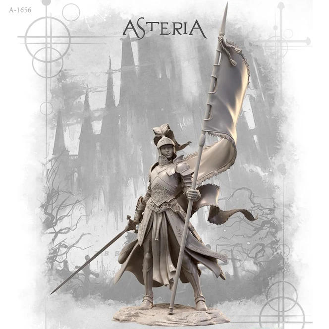 

1/24 Resin model kit female knight self-assembly and coloring A-1656
