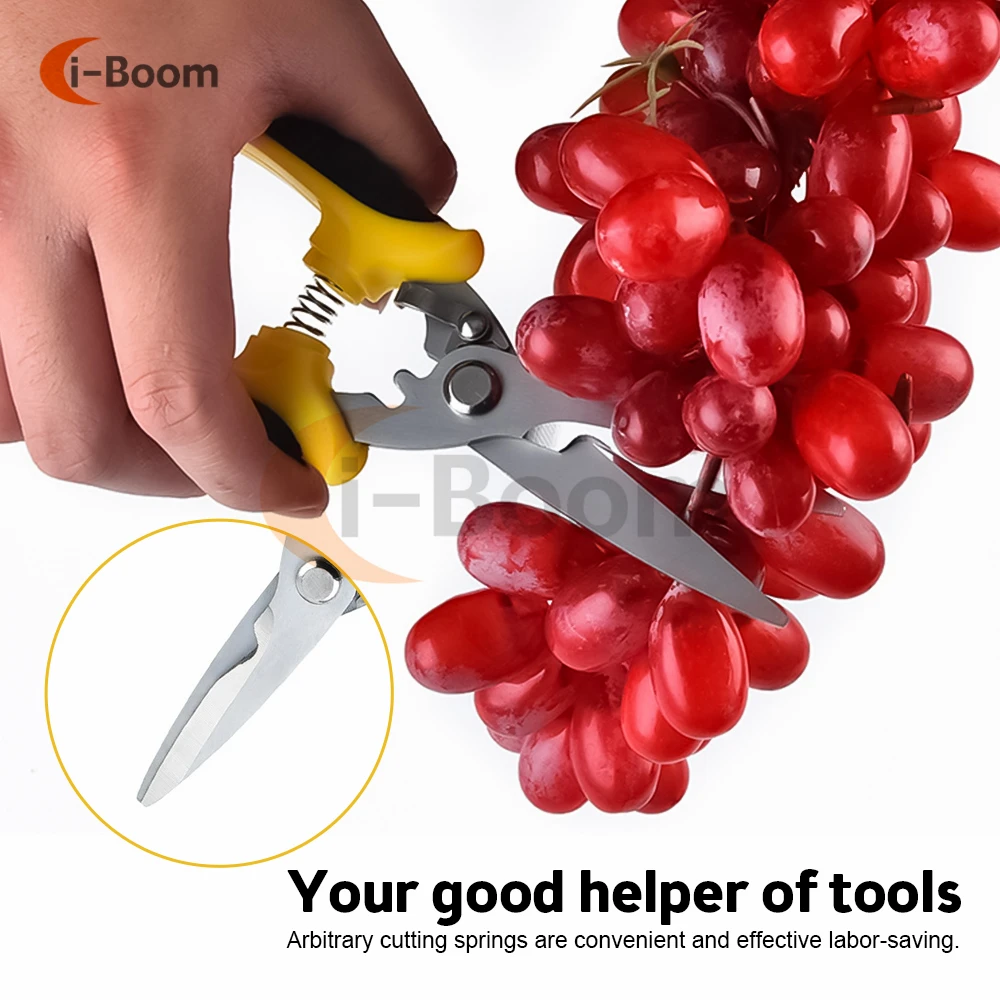 Stainless Steel Scissors Pruner Secateurs Pruning Bypass Sharpener Loppers Garden Tool Bonsai Flower Cultivation Snip Floral