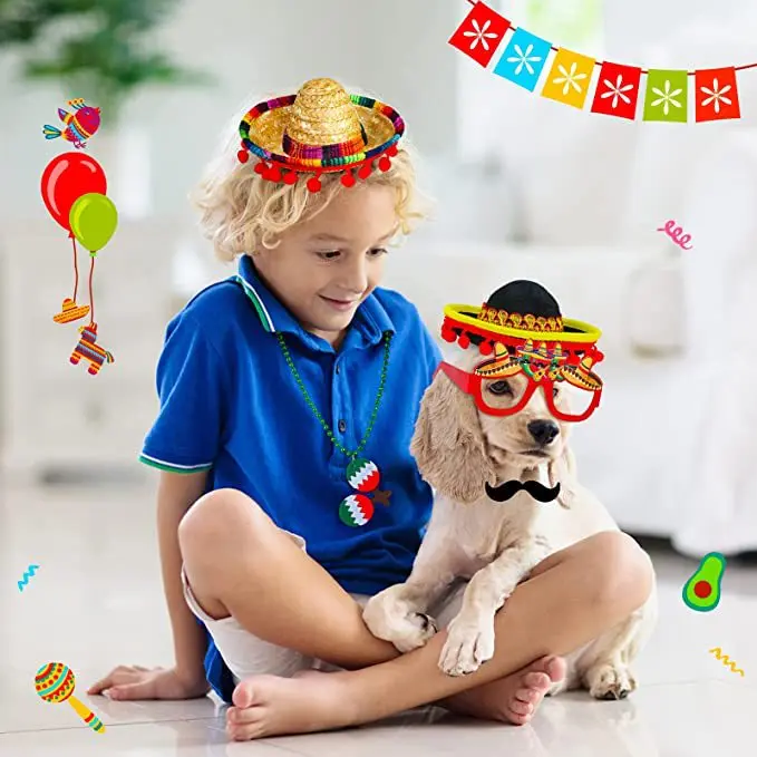 Internet Celebrity Mexican Pet Grass Hat Cat and Dog Wide Brimmed Headwear Children's Toy Mini Hat