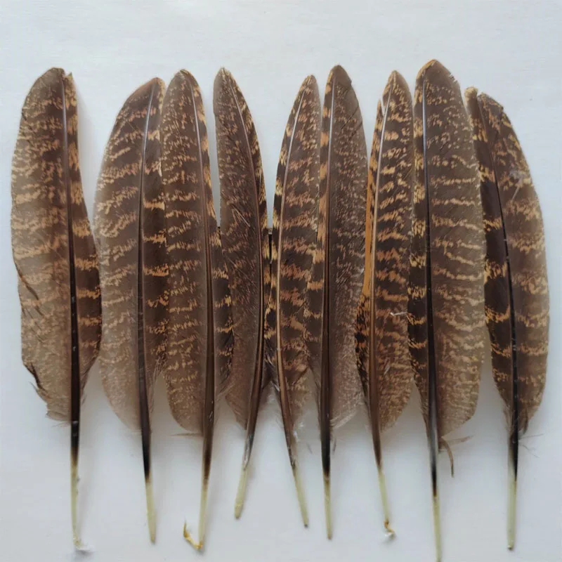 

50Pieces 6-8" Natural Tragopan Pheasant Quill Feathers,Pheasant Quill Wings for hats, earrings,Decor DIY Decoration