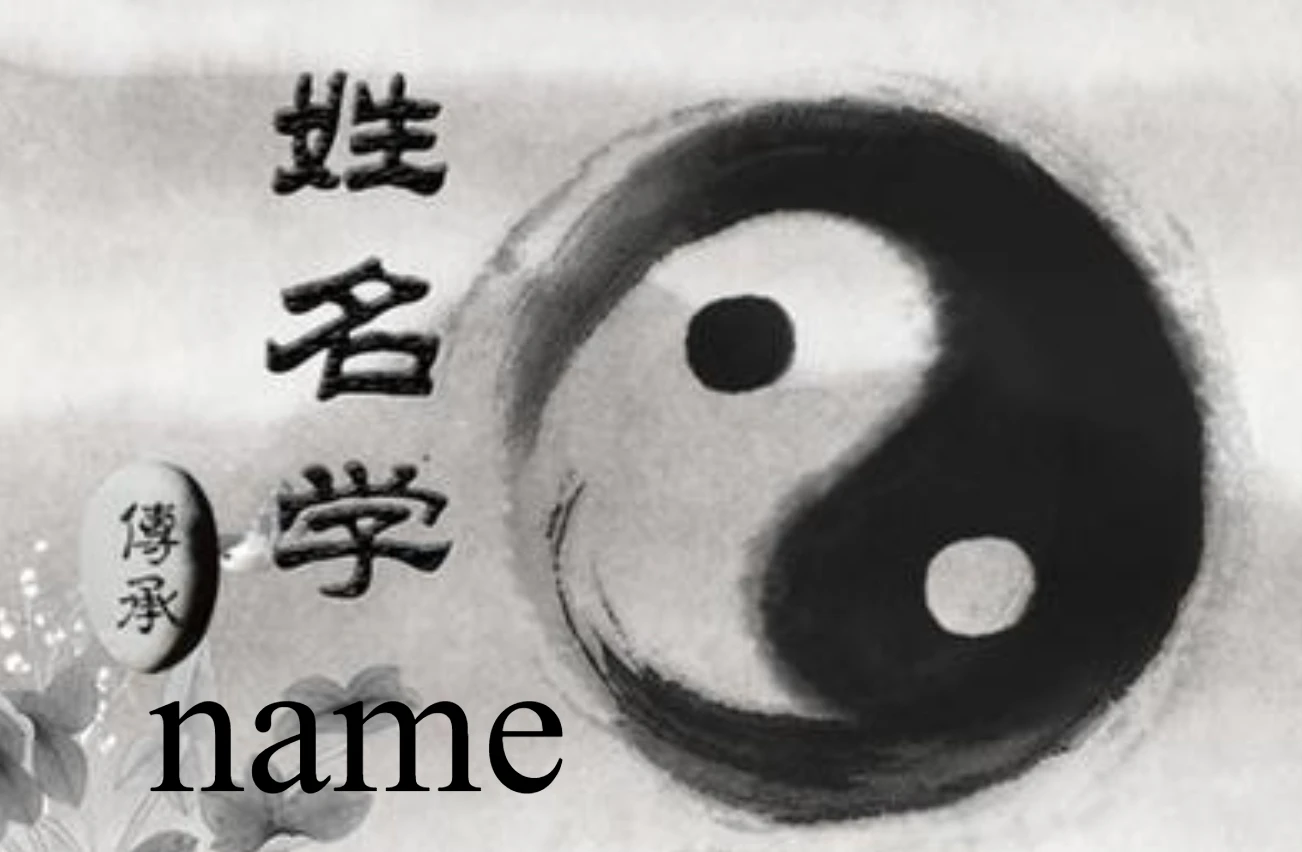 Register the Chinese name of the software and choose a name