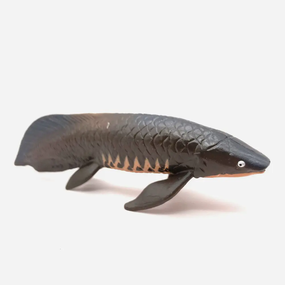 Lifelike Simulation Fish Adornment Durable Practical Lasting Use Nursery Classroom Home Decor Kid Educational Tool