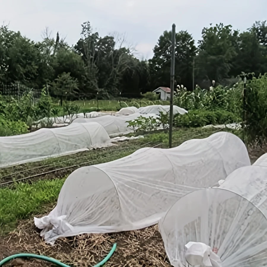 Verdickter Vliesstoff-Gartenmulch, 160 cm x 1000 cm, Pflanzenschutzabdeckung für Gemüse und Obstbäume, Frostschutz, Isolierung – Detail 5