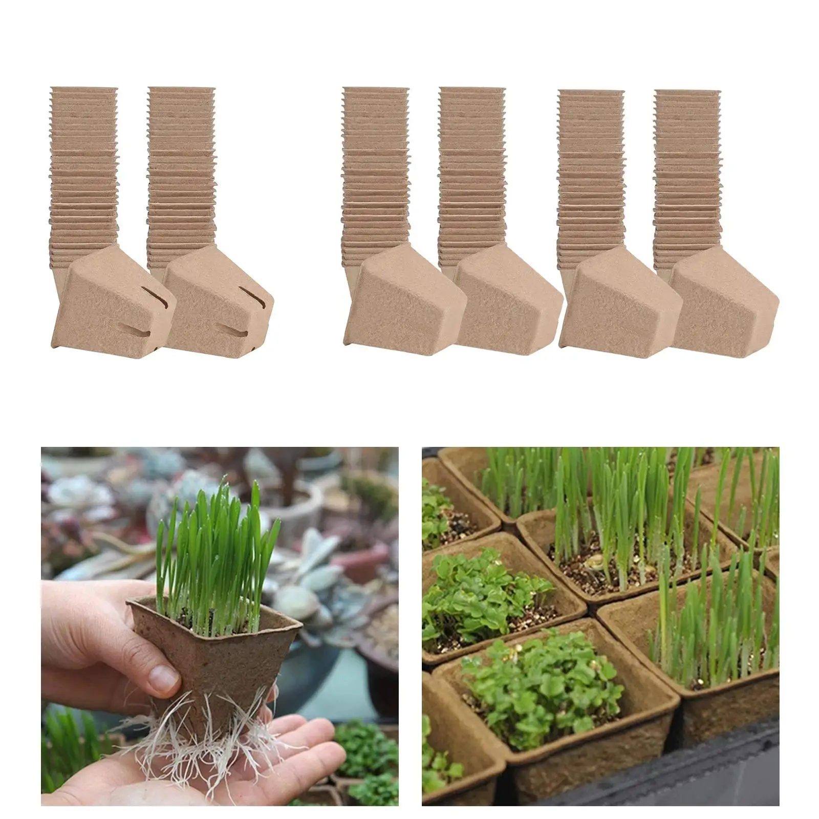 Plantable Pulp Pots for Seedlings with Nursery Tray for Growing Tomatoes Watermelon Lettuce Lavender Plants