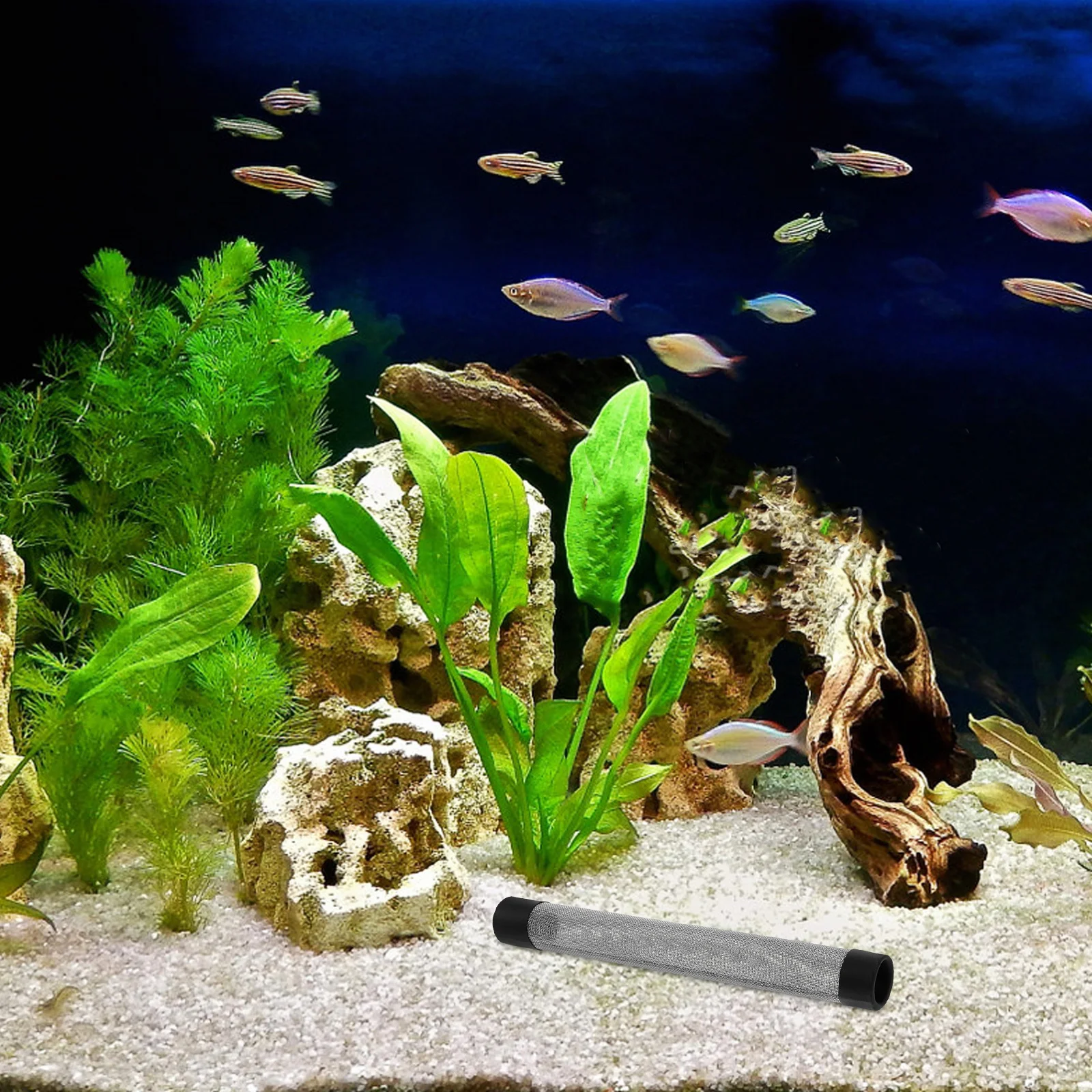 

Fine Mesh Filter Guard for Fish Tank Stainless Steel Intake Strainer Protects Shrimp Small Fish Metal Inflow Filter for Aquarium