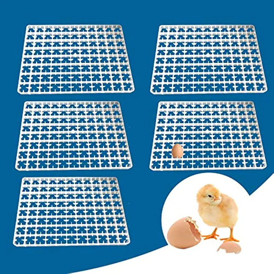 

Plastic Egg Tray Container 5pcs Hatcher Storage Will fit for 88 Eggs Incubator Sorting and Shipping