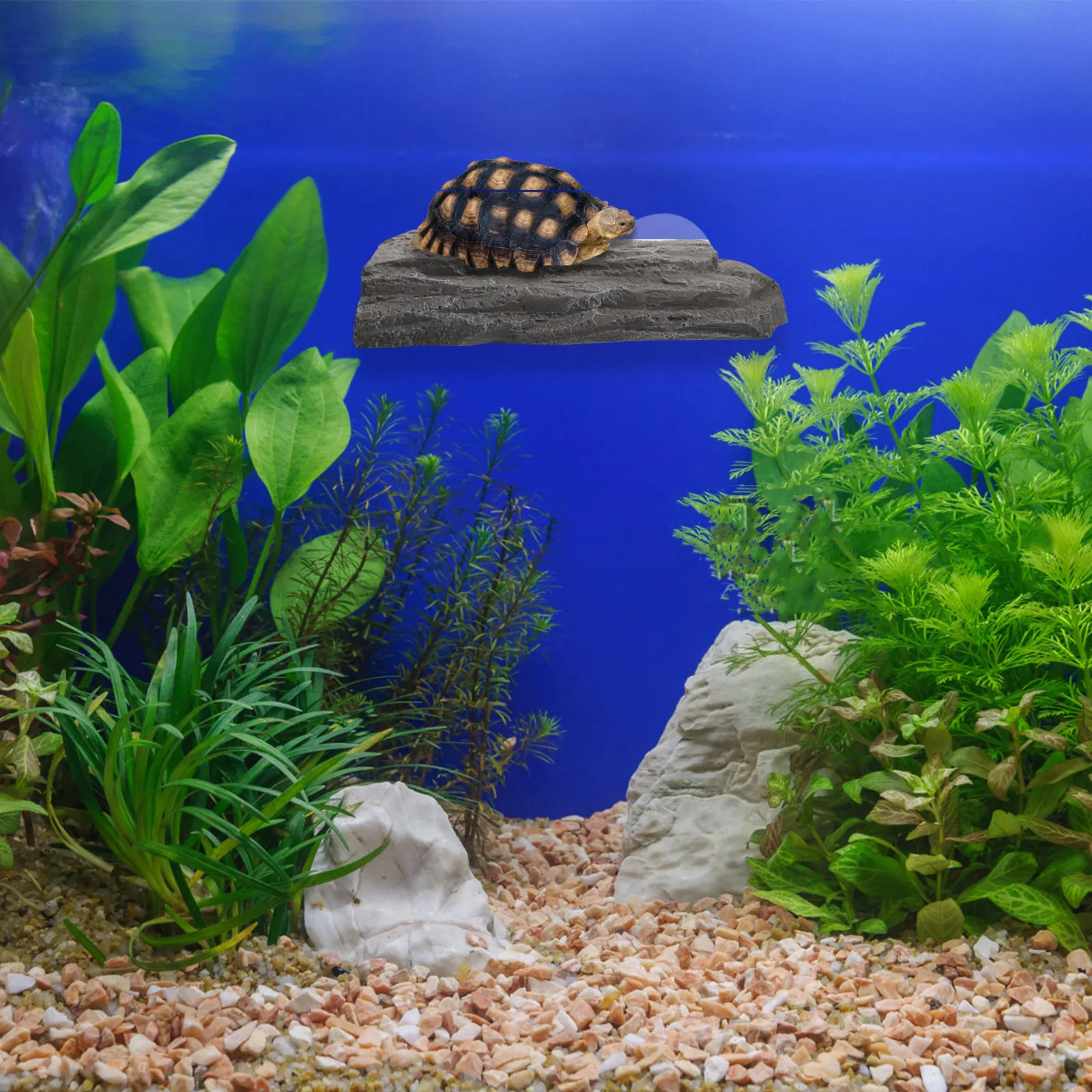 

Платформа для плавания и отдыха для черепах: плавающая терраса из смолы с регулируемыми присосками для водных черепах, лягушек, ящериц, сцинков.