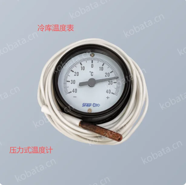 Cold storage temperature gauge -40+40°C F-87-R-100 F-87-R-80 F-87-R-63 instead of import