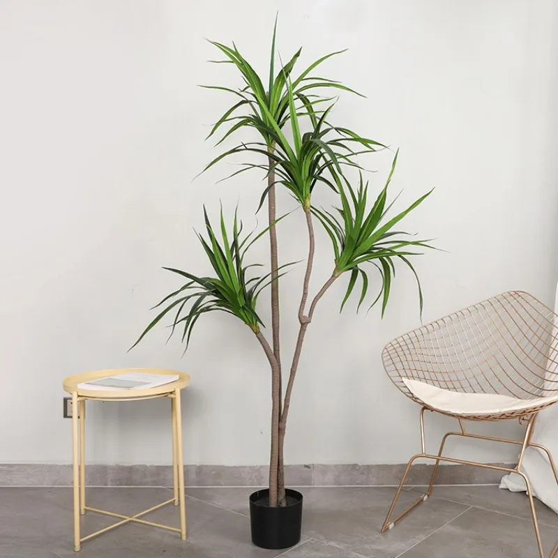 140cm Dragon Blood Tree Bonsai Living Room Decorated with Green Plants Millennium Wood Brazilian Iron Tree