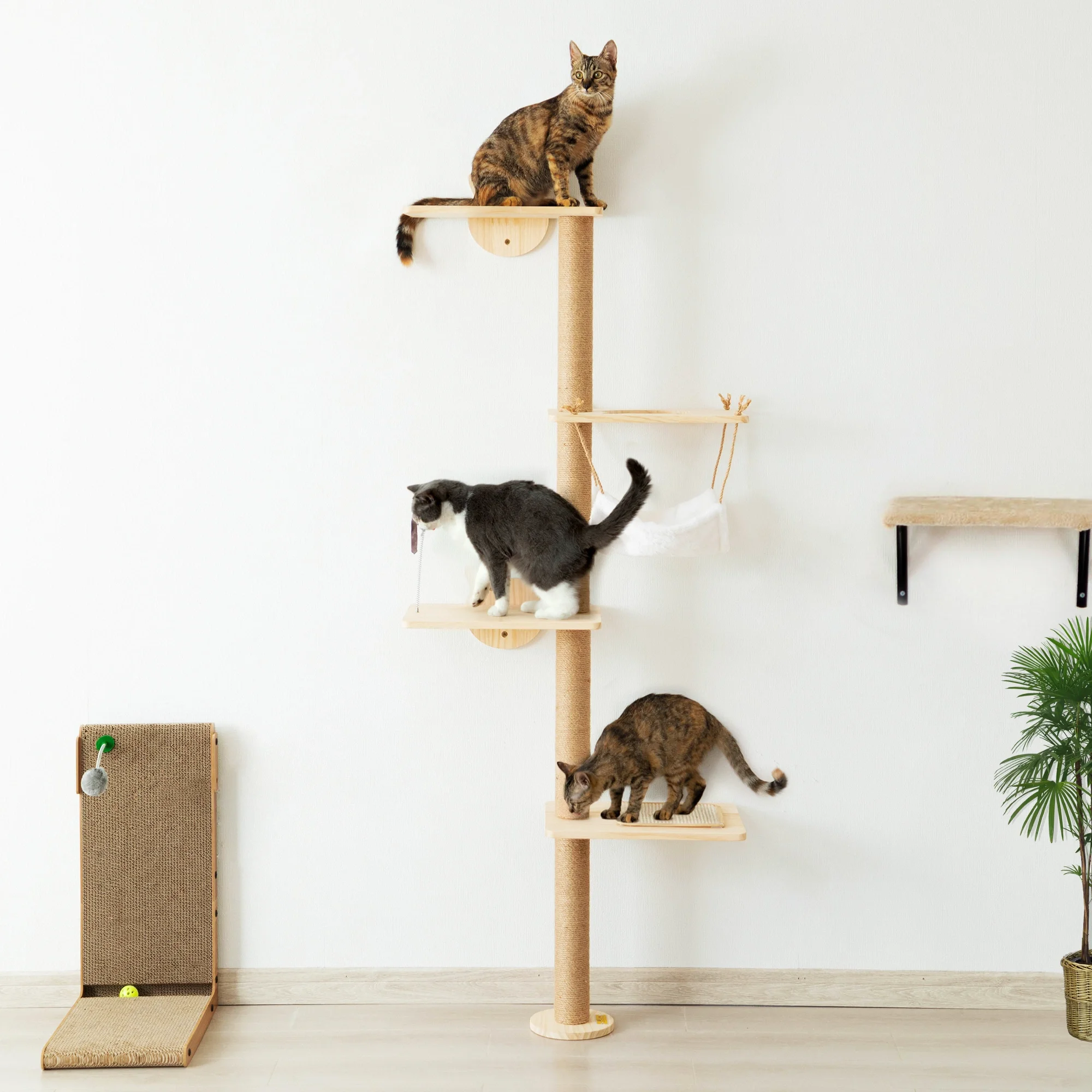 Wall-Mounted Cat Scratching Pad for Cat Indoor Wood Cat Tree with Hammock Cat Scratcher Perch