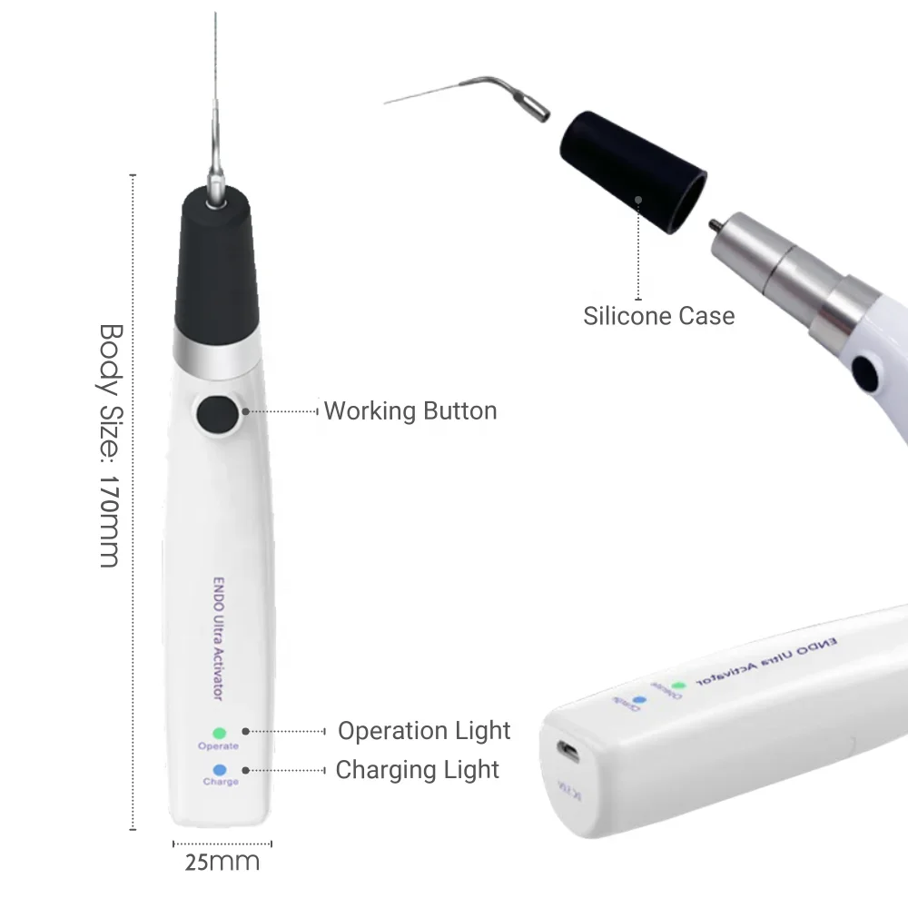 Endo Ultrasonics Activator Rechargeable Teeth Whitening Dentistry Endodontics Irrigator Dentals Handpiece Root Canal Preparation