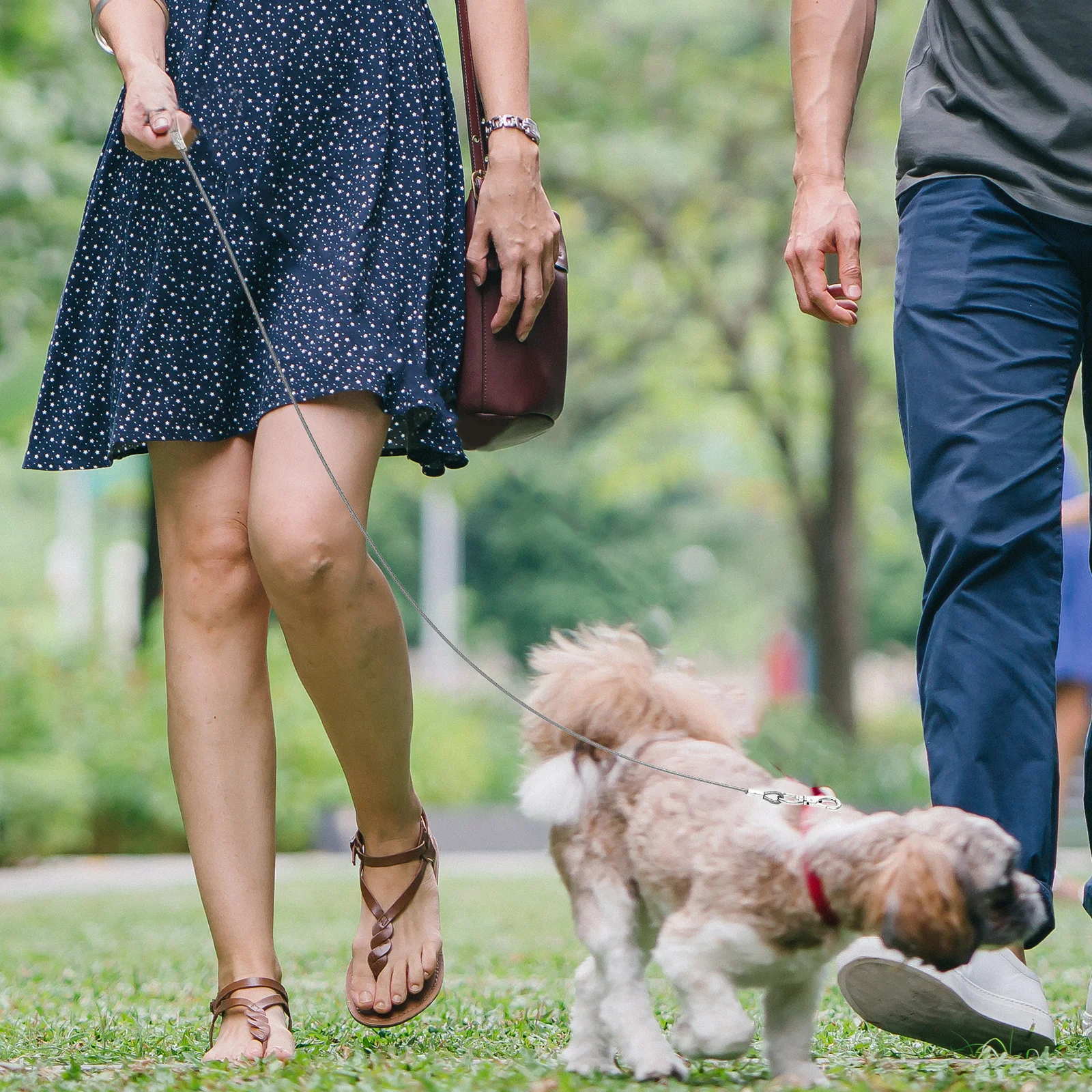 

Chew Proof Wear Resistant Metal Dog Leash Steel Wire Safety Leash for Puppy Outdoor Traction Rope Puppy Traction Rope