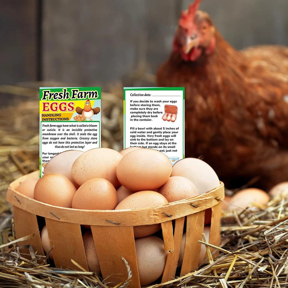 

250pcs Fresh Handling Instructions Farm Fresh Egg Egg Storage Safety Info Cards For Chicken Eggs Refrigerator Use