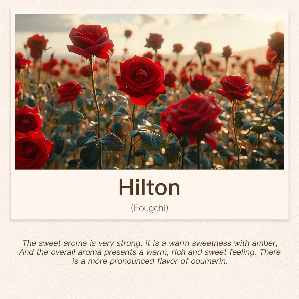 Variant: Hilton