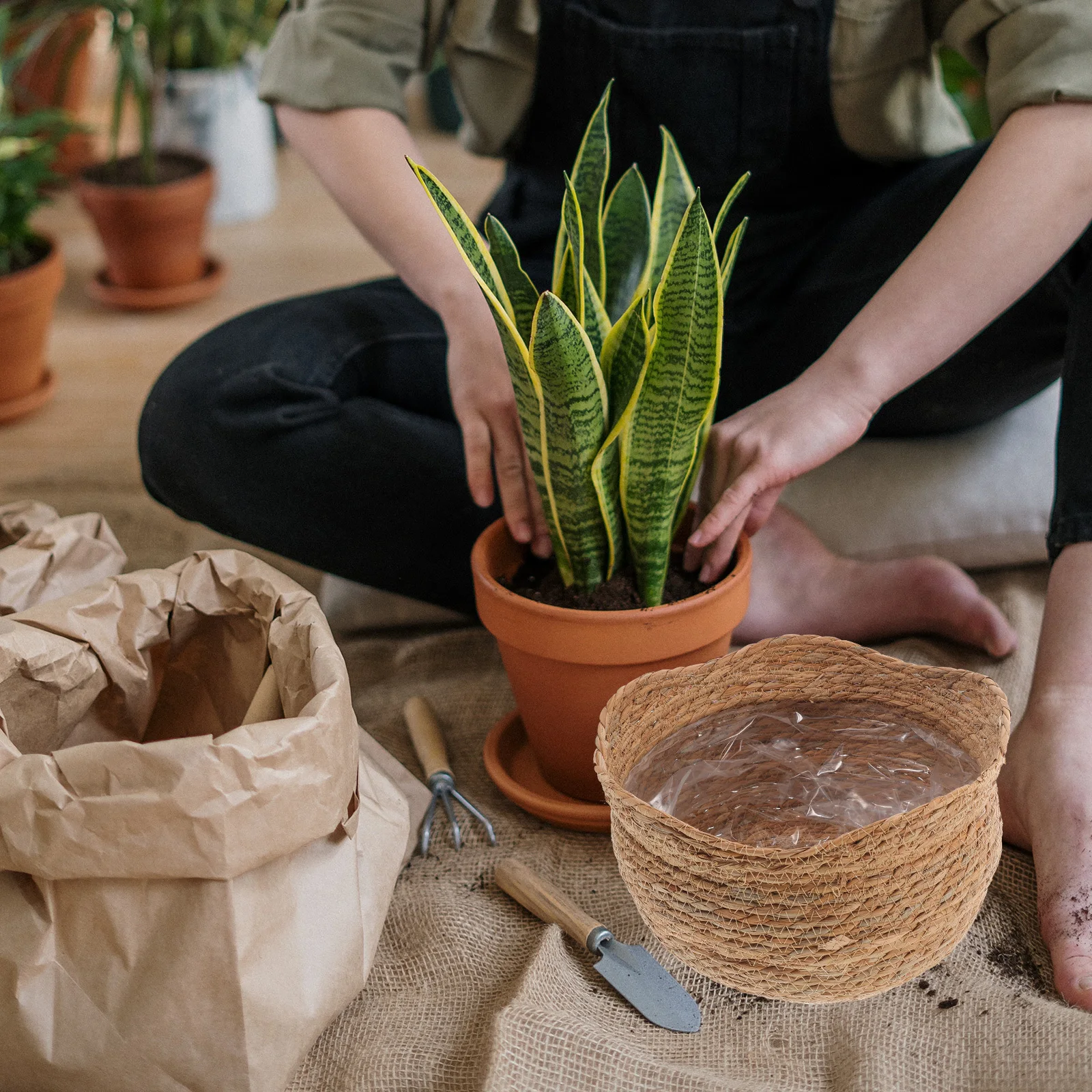

Rustic Woven Plant Basket Compact Size Decorative Indoor Flower Planter Basket Natural Weaving Design Planter Baskets